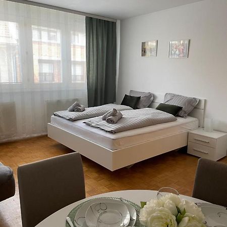 Apartment Green - Grey Λιουμπλιάνα Εξωτερικό φωτογραφία