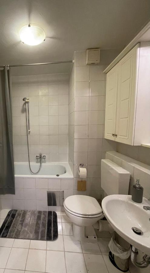 Apartment Green - Grey Λιουμπλιάνα Εξωτερικό φωτογραφία