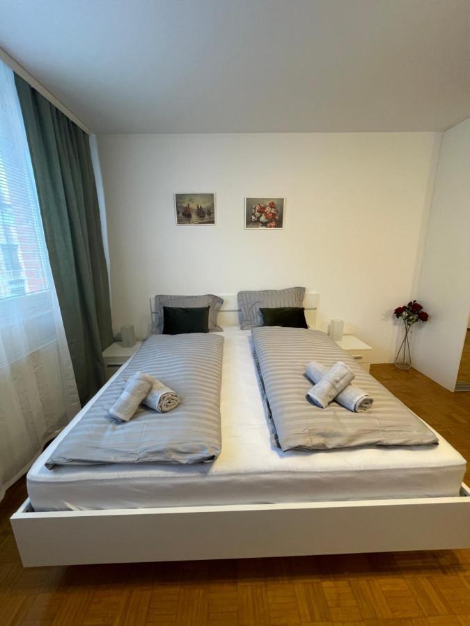 Apartment Green - Grey Λιουμπλιάνα Εξωτερικό φωτογραφία